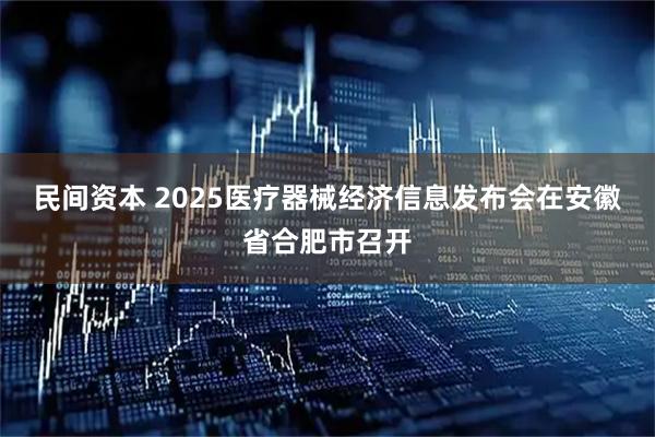民间资本 2025医疗器械经济信息发布会在安徽省合肥市召开