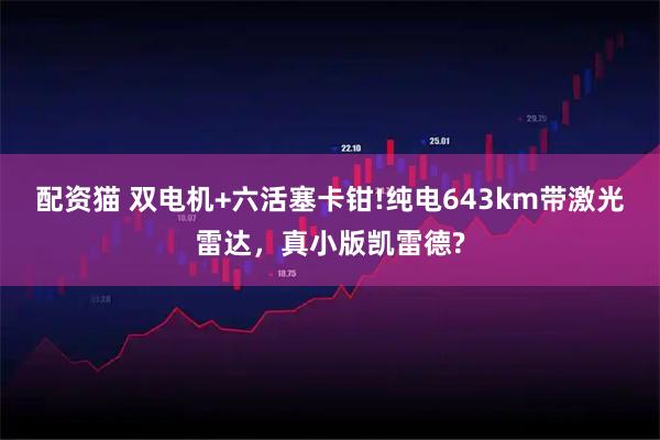 配资猫 双电机+六活塞卡钳!纯电643km带激光雷达，真小版凯雷德?
